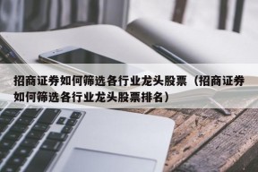 招商证券如何筛选各行业龙头股票（招商证券如何筛选各行业龙头股票排名）