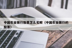 中国农业银行股票怎么买呢（中国农业银行的股票）