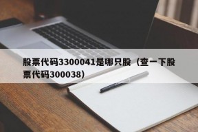 股票代码3300041是哪只股（查一下股票代码300038）