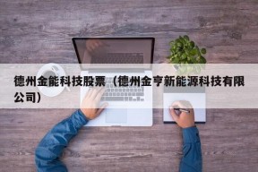 德州金能科技股票（德州金亨新能源科技有限公司）