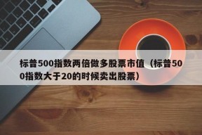 标普500指数两倍做多股票市值（标普500指数大于20的时候卖出股票）