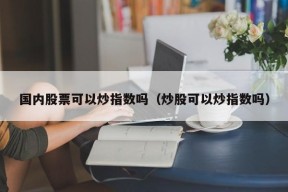 国内股票可以炒指数吗（炒股可以炒指数吗）