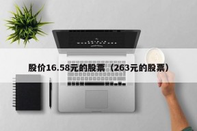 股价16.58元的股票（263元的股票）