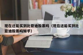 现在还能买到比亚迪股票吗（现在还能买到比亚迪股票吗知乎）