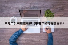 中电二公司股票名称（中电二公司百度百科）