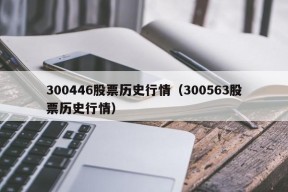 300446股票历史行情（300563股票历史行情）