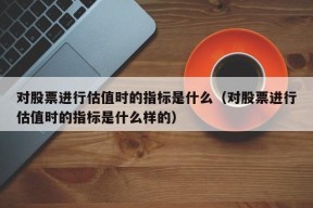 对股票进行估值时的指标是什么（对股票进行估值时的指标是什么样的）