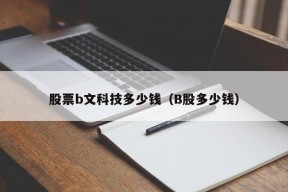 股票b文科技多少钱（B股多少钱）