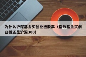 为什么沪深基金买创业板股票（指数基金买创业板还是沪深300）