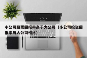 小公司股票回报率高于大公司（小公司投资回报率与大公司相比）