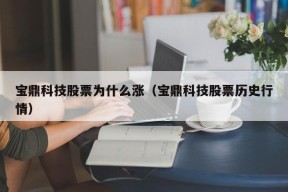 宝鼎科技股票为什么涨（宝鼎科技股票历史行情）