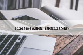 113056什么股票（股票113048）