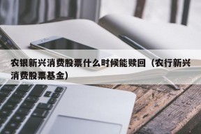 农银新兴消费股票什么时候能赎回（农行新兴消费股票基金）