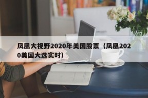 凤凰大视野2020年美国股票（凤凰2020美国大选实时）