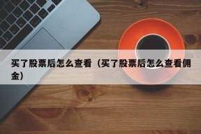 买了股票后怎么查看（买了股票后怎么查看佣金）