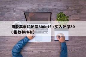 用股票申购沪深300etf（买入沪深300指数并持有）