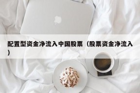 配置型资金净流入中国股票（股票资金净流入）