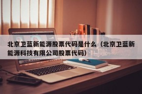 北京卫蓝新能源股票代码是什么（北京卫蓝新能源科技有限公司股票代码）