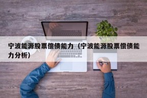 宁波能源股票偿债能力（宁波能源股票偿债能力分析）