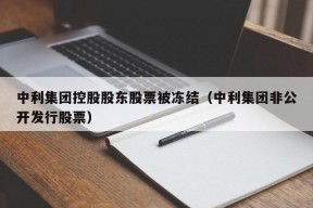 中利集团控股股东股票被冻结（中利集团非公开发行股票）