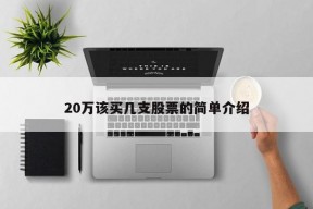 20万该买几支股票的简单介绍