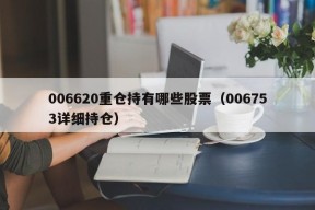 006620重仓持有哪些股票（006753详细持仓）