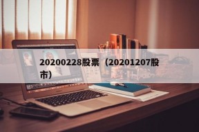 20200228股票（20201207股市）