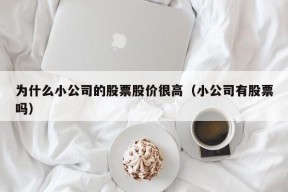 为什么小公司的股票股价很高（小公司有股票吗）