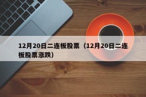 12月20日二连板股票（12月20日二连板股票涨跌）