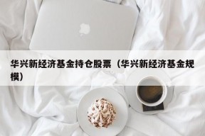 华兴新经济基金持仓股票（华兴新经济基金规模）