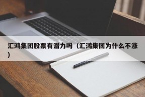 汇鸿集团股票有潜力吗（汇鸿集团为什么不涨）