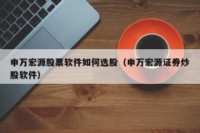 申万宏源股票软件如何选股（申万宏源证券炒股软件）