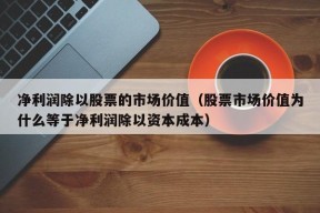 净利润除以股票的市场价值（股票市场价值为什么等于净利润除以资本成本）